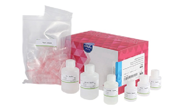 Medical Diagnostics